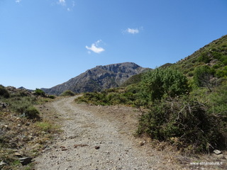 Monte Scuderi